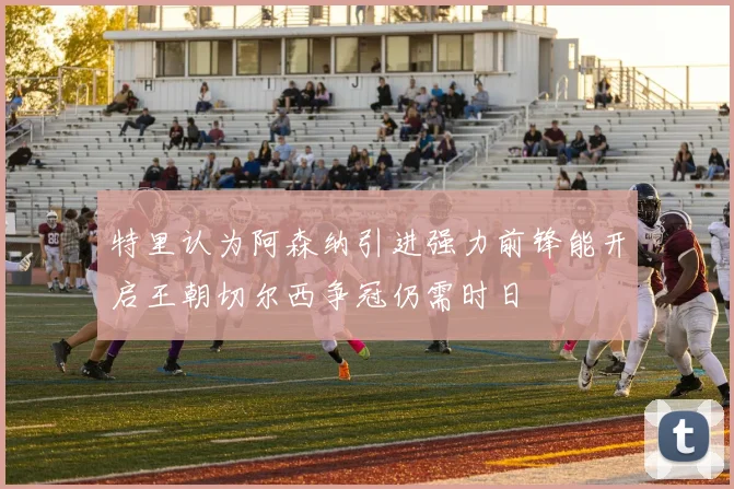 特里认为阿森纳引进强力前锋能开启王朝切尔西争冠仍需时日